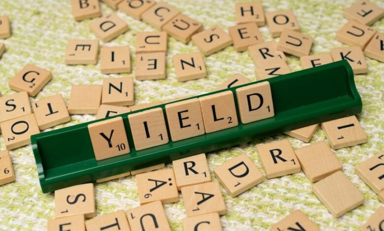 dividend yield fund management
