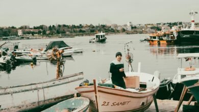 mahi manu mult 16fzcwo
