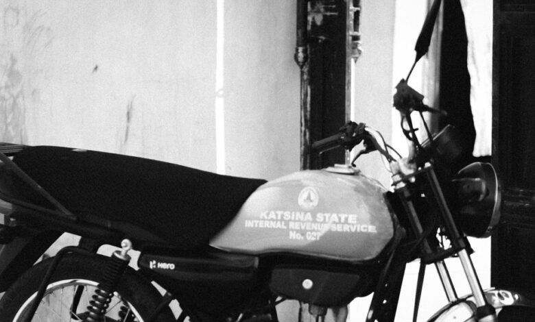 revenue growth through scaling